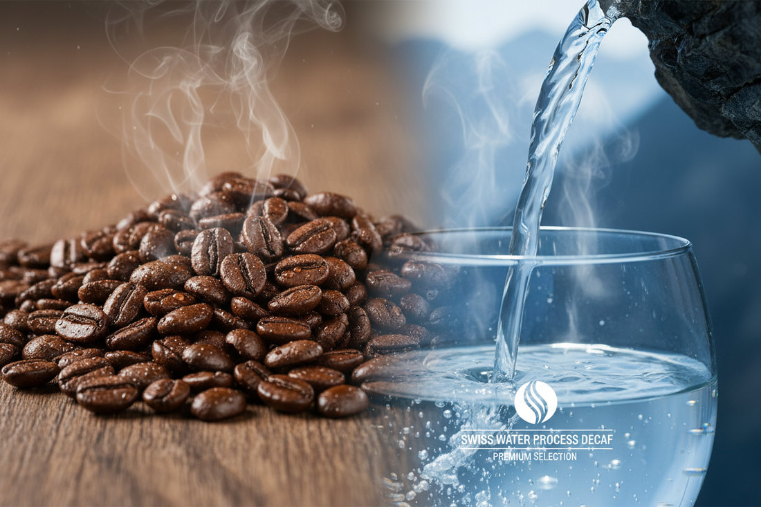 What Is the Swiss Water Process? A Complete Guide to Chemical-Free Decaf Coffee