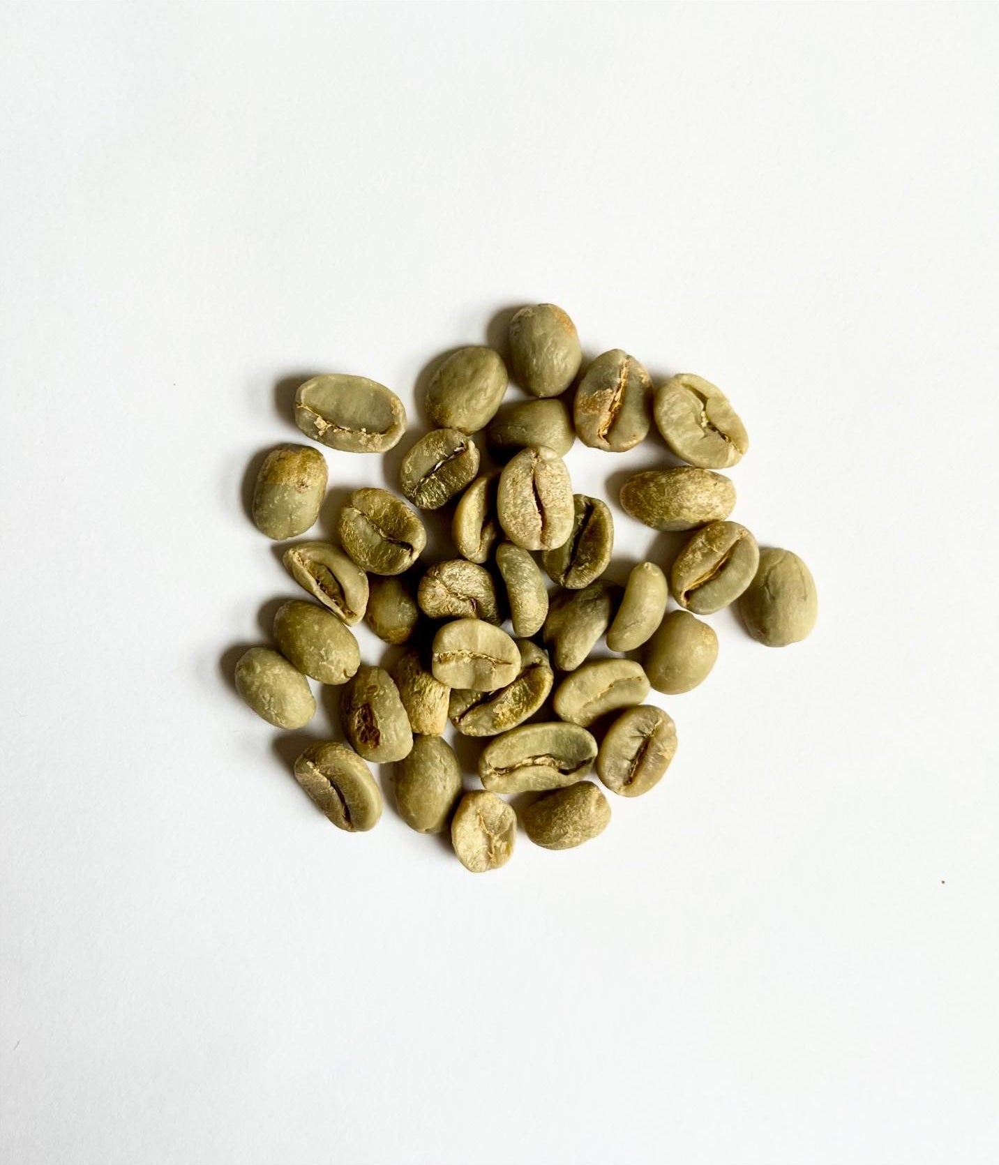 Raw, pre-roasted coffee beans from Mexico